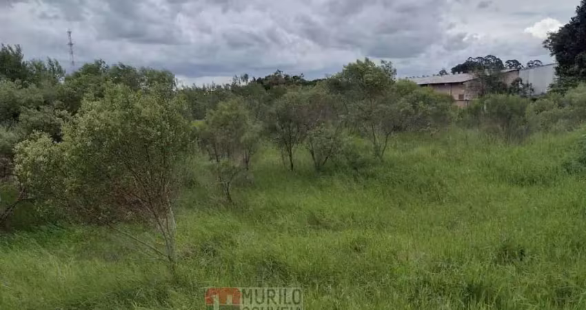 Terreno com 15.000 m², à venda por r$ 11.200.000 - eucaliptos, fazenda rio grande (pr)