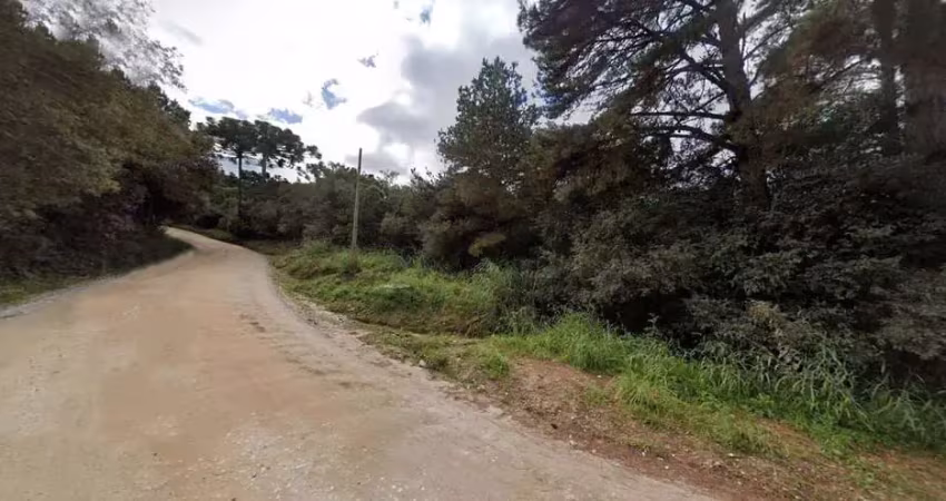 Terreno com 280.000 m², à venda por r$ 9.100.000 - centro, campina grande do sul (pr)