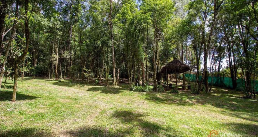 Chácara à venda, 20180 m² por R$ 690.000,00 - Popular Nova - Campo Largo/PR