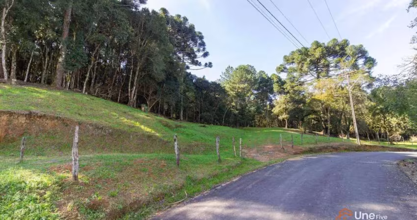 Terreno amplo para chácara - 3.799 m² de liberdade e conforto