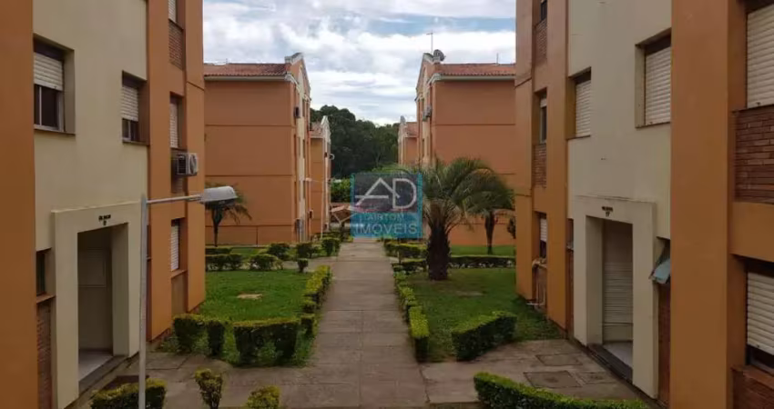 Apartamento para venda  no bairro passo das pedras em gravataí