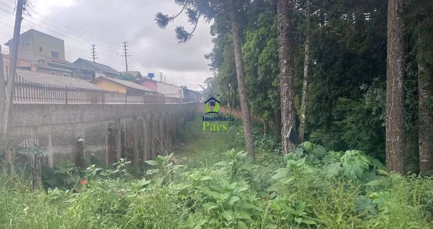 Terreno à venda no Rincão, Colombo 
