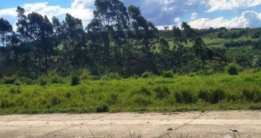 Terreno à venda, 250 m² - Reserva Alto da Mata - Taubaté/SP