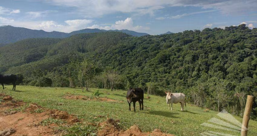 Terreno à venda, 20.094,07m² - Poço Grande - Tremembé/SP