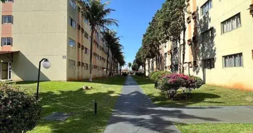 Kitinete de 01 quarto para alugar, 27 m² por r$ 870 - cidade universitária- próx. à uel