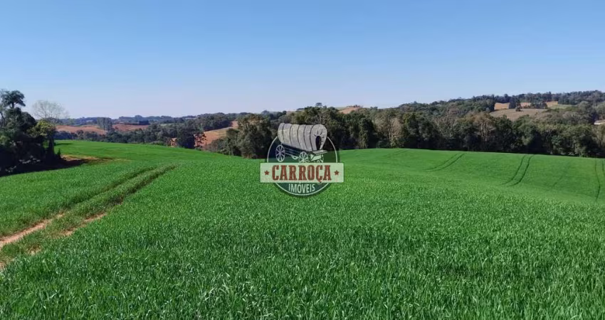 Chácara / sítio com 1 quarto à venda na 511, Catanduvas do Sul, Contenda