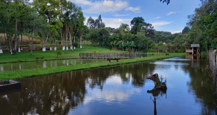 Chácara / sítio com 5 quartos à venda na BR 116, Zona Rural, Quitandinha