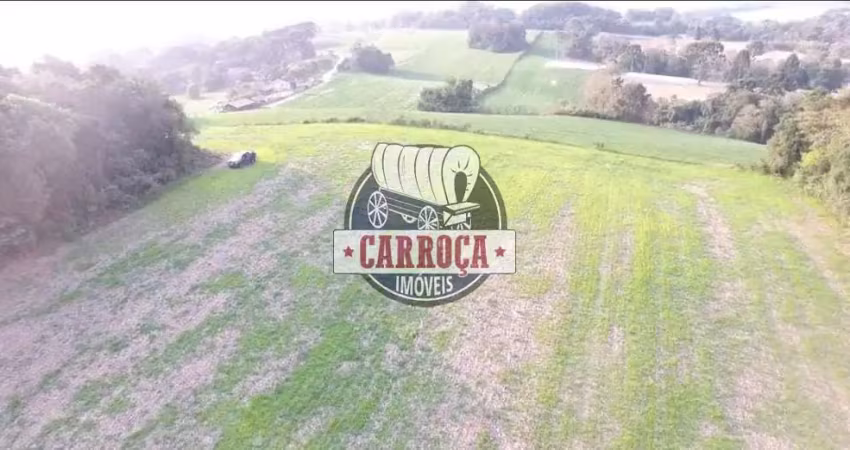 Chácara / sítio com 1 quarto à venda em Campina das Pedras, Araucária 