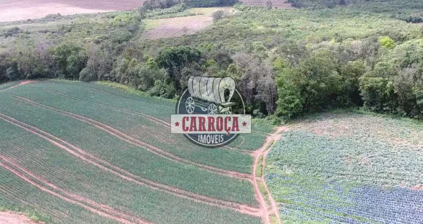 Chácara / sítio com 1 quarto à venda na Wadislau Furman, Guajuvira, Araucária