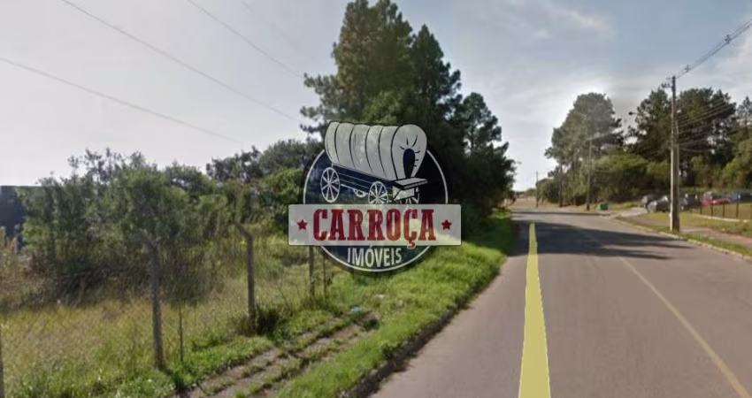 Terreno comercial à venda na PRES. CASTELO BRANCO, Thomaz Coelho, Araucária