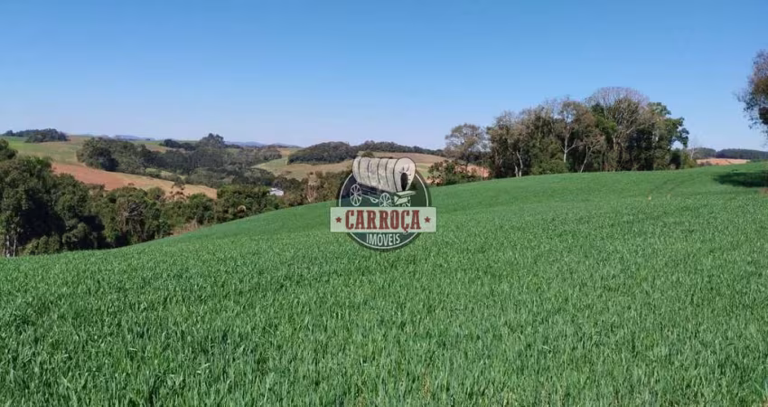 Fazenda à venda na 511, Catanduvas do Sul, Contenda