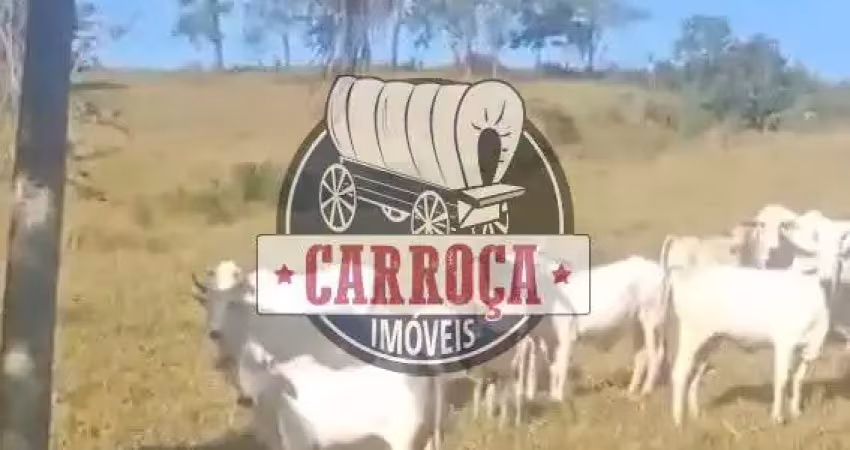 Fazenda à venda na PARANA, Centro, Pinhalão