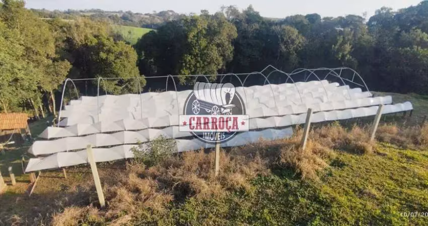 Chácara / sítio com 3 quartos à venda no Lagoa Suja, Araucária 