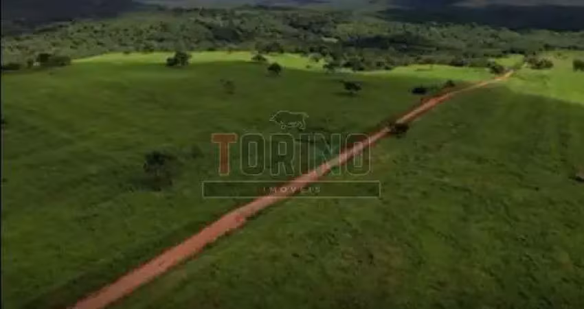 Fazenda à venda na Zona Rural, São João da Ponte 