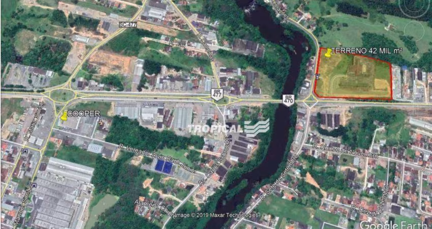 Terreno à venda, 42000 m² por R$ 23.999.950,00 - Benedito - Indaial/SC