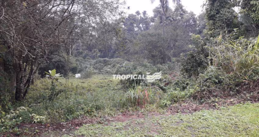 Terreno à venda, 1032 m² por R$ 340.000,00 - Ribeirão Fresco - Blumenau/SC