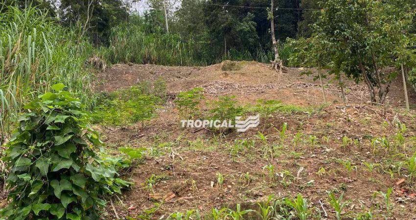 Terreno à venda, 450 m² por R$ 230.000,00 - Salto Weissbach - Blumenau/SC