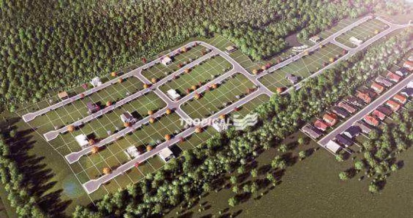 Terreno à venda, 479 m² por R$ 330.000,00 - Ponta Aguda - Blumenau/SC