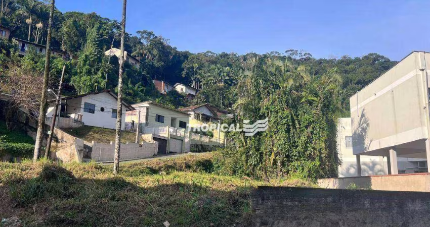Terreno para alugar, 420 m² por R$ 2.522,64/ano - Ribeirão Fresco - Blumenau/SC