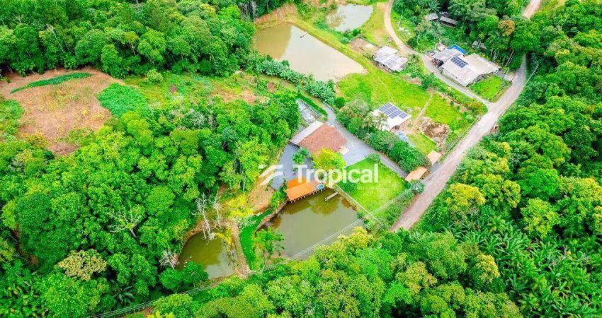 Sítio com 3 dormitórios à venda, 83011 m² por R$ 1.500.000,00 - Belchior Alto - Gaspar/SC