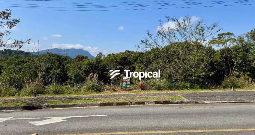 Terreno à venda, 325 m² por r$ 155.000,00 - itoupava central - blumenau/sc