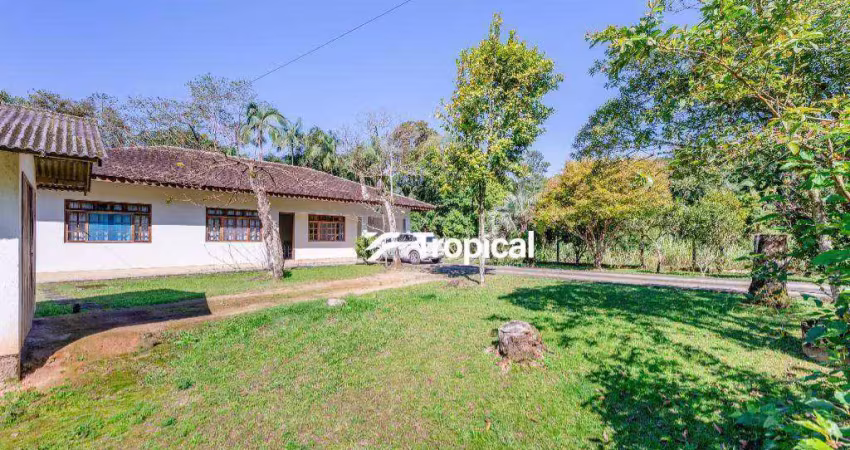 Sítio com 3 dormitórios à venda, 16642 m² por r$ 1.200.000,00 - velha - blumenau/sc