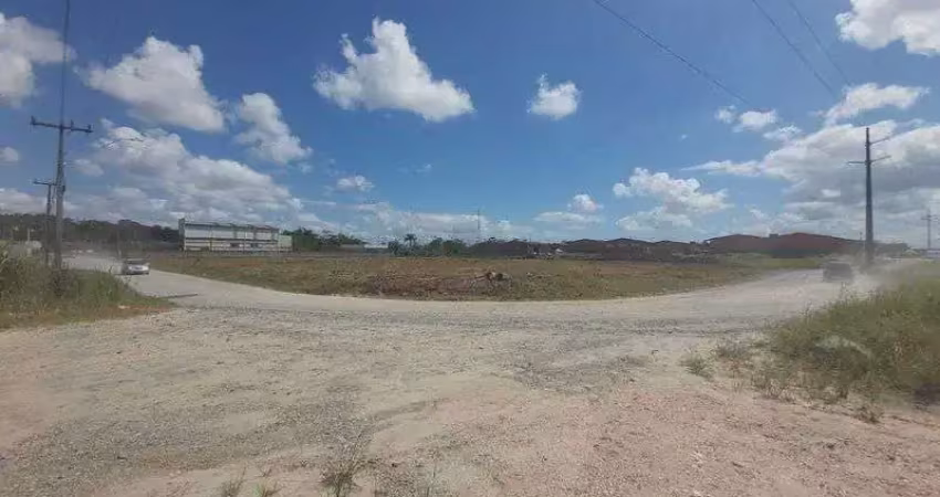 Terreno comercial para alugar na ARAQUARI, Porto Grande, Araquari