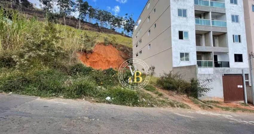 Terreno à venda, 444 m² por r$ 106.000,00 - nova benfica - juiz de fora/mg