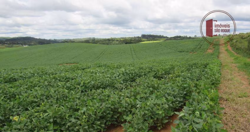 São Roque e Região