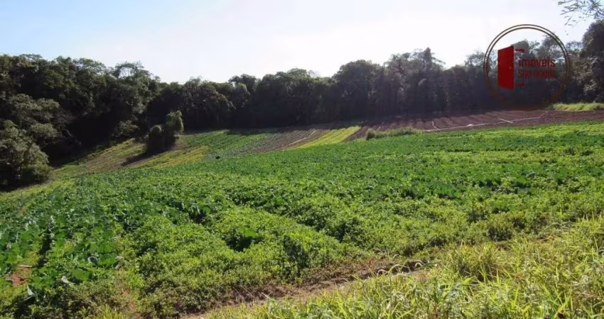 Chácara / sítio à venda em Recreio, Ibiúna 