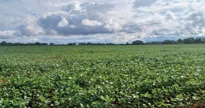 Fazenda 42 Hectares no Paranoá DF-130 !!! 2.500.000 !!!