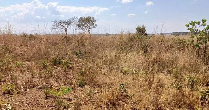 Chácara 6 Hectares Escriturada e Registrada no PADEF !!! 650.000 !!!