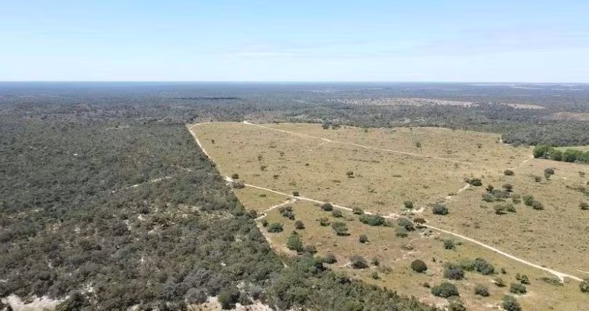Fazenda Espetacular Arinos/MG 1.370 Ha !!! 12.700.000 !!!