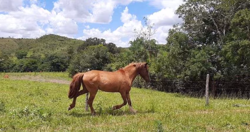 Fazenda Planaltina-DF 61 Hectares !!! 2.200.000 !!!