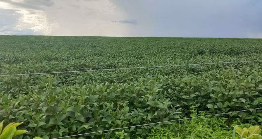 Sítio 19.54 Hectares Escriturado e Registrado na Região do PADEF !1.450.000 !