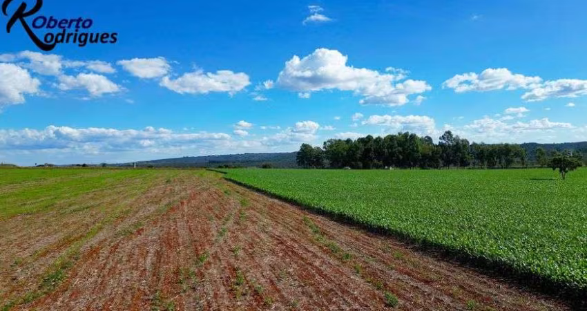 Fazenda 115 Hectares em Planaltina DF !!! 10.000.000 !!!