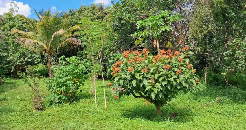 Sítio em planaltina de goiás, córrego rico com 44 hectares !!! 450.000 !!!