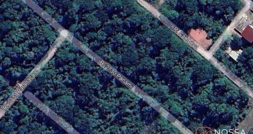 Terreno à venda, 423 m² por r$ 57.000 - bahamas ii - itapoá/sc