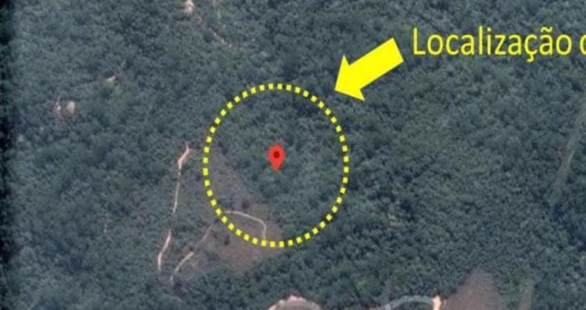 Área 1.000 m² (Lt 15 da Qd 36) - Jaguaribe - Campos do Jordão - SP
