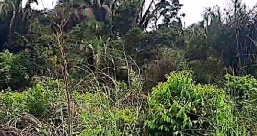 Imóvel Rural 418 ha - Turiaçu - MA