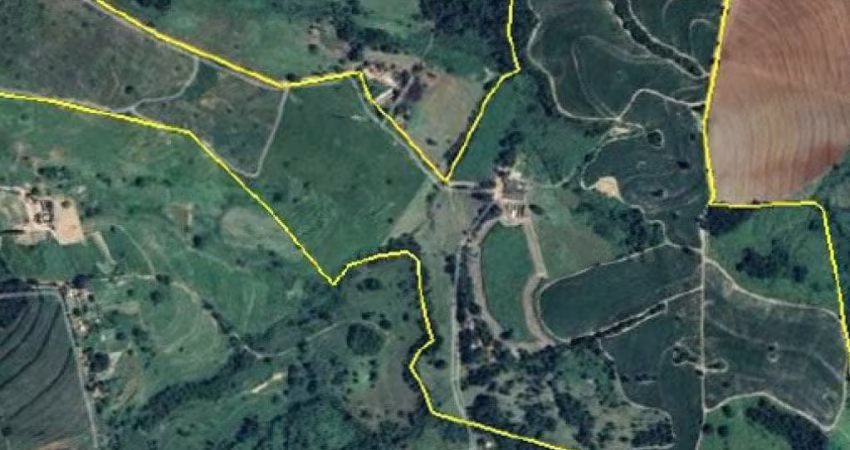 Imóvel Rural 140 ha (Fazenda Santa Maria da Figueira) - Mococa - SP
