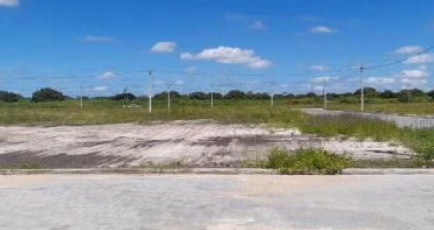 Área com 14.652 m² (Fazenda Mosquito) - Santa Eugenia - Beberibe - CE