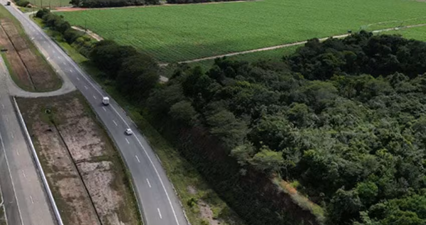 Fazenda à venda no Centro, Capim 