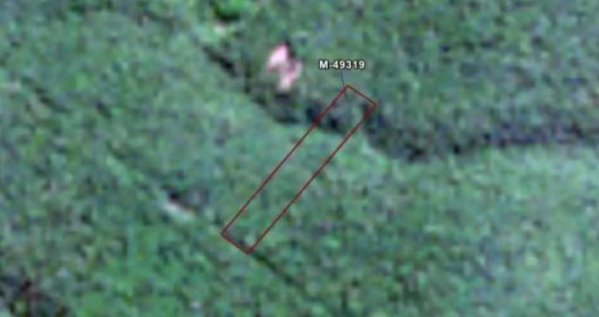 Área de 25.000 m² (córrego do taípe) - arraial d'ajuda - porto seguro - ba