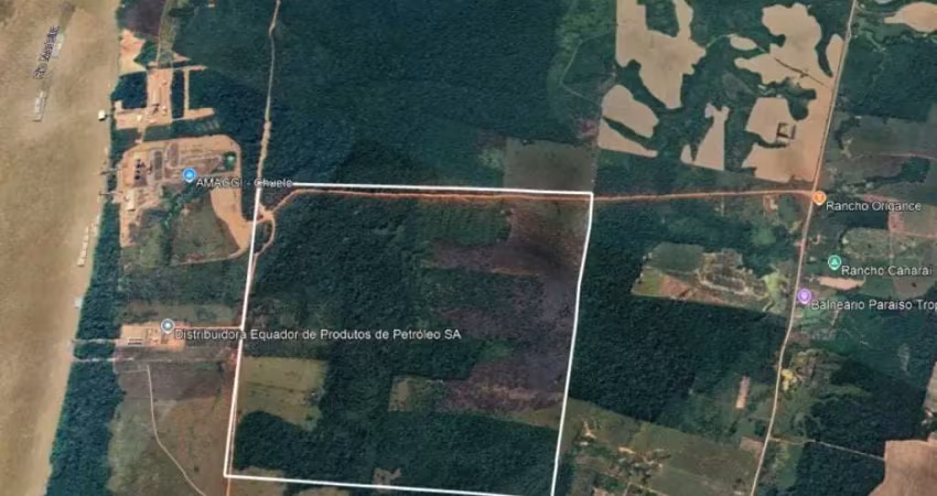 Área rural com 46.870 m² - área rural de porto velho - porto velho - ro
