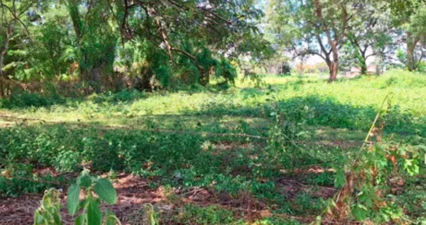 Fazenda à venda no Centro, Cardoso 