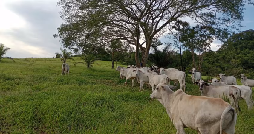 Fazenda de 50 alqueires a 2 km de São sebastião de Paraiso