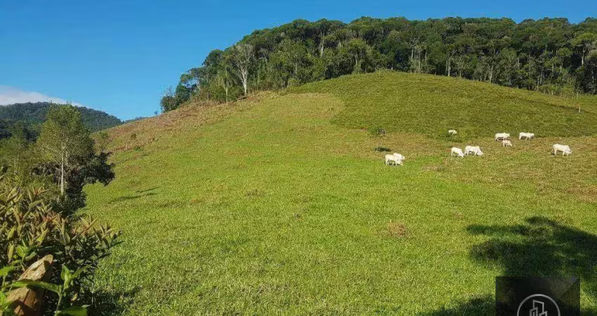 Fazenda à venda, 202000 m² por R$ 980.000,00 - Serra - Iporanga/SP
