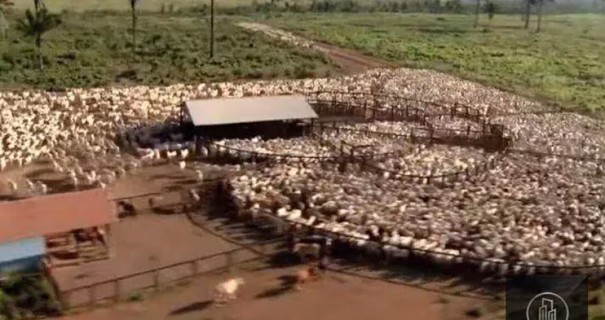 Fazenda à venda, 4270000000 m² por r$ 8.000.000.000 - nova marabá - marabá/pa