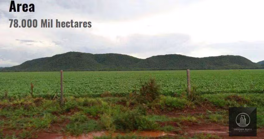 Fazenda à venda na Alameda A, Nova Corumbá, Corumbá